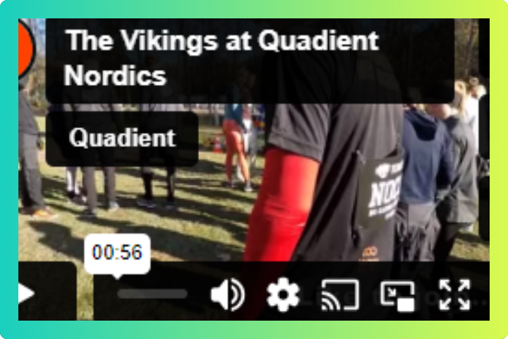 Vikings at Quadient